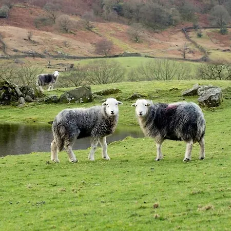 Langdale - 5 Bedrooms And 5 Bathrooms Holiday home